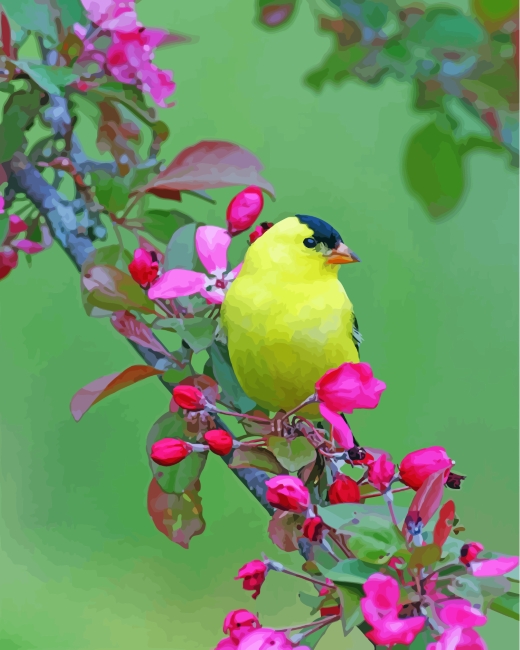 American Goldfinch Songbird paint by numbers