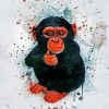 Baby Chimp Animal paint by numbers