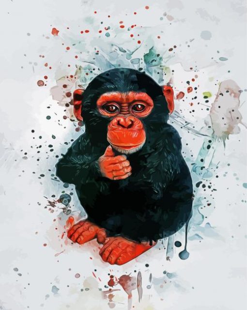 Baby Chimp Animal paint by numbers