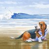 Basset At The Beach paint by numbers