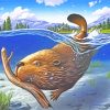 Beaver Swimming Underwater paint by numbers