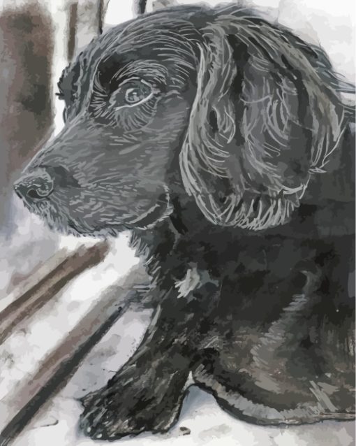Black And White Cocker Spaniel paint by numbers