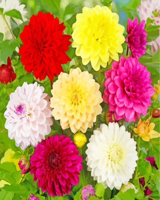 Blooming Dahlia Flower paint by numbers