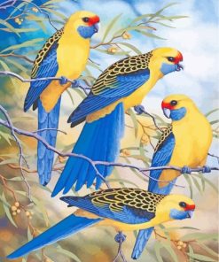 Blue Yellow Rosella paint by numbers