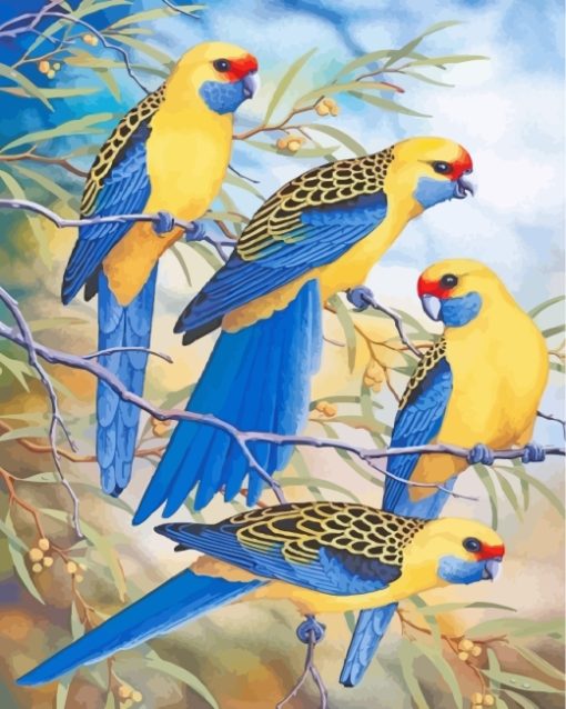 Blue Yellow Rosella paint by numbers