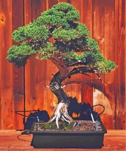 Green Bonsai Tree paint by numbers