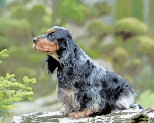 English Cocker Spaniel paint by numbers