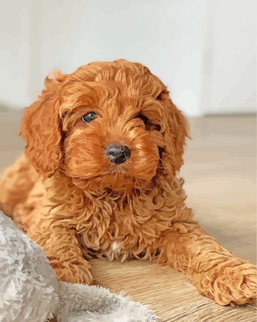 Brown Cavoodle Puppy paint by numbers