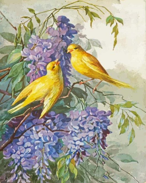 Adorable Canaries Birds paint by numbers