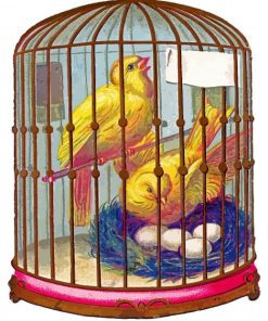 Canary Birds In Cage paint by numbers