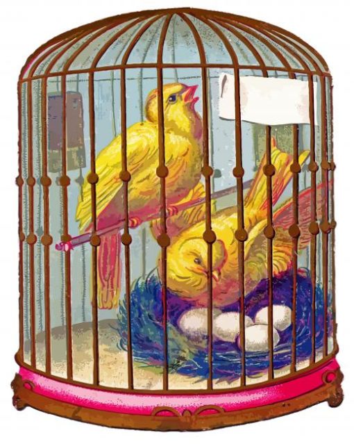Canary Birds In Cage paint by numbers