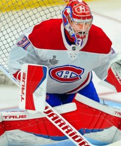 Carey Price Habs paint by numbers