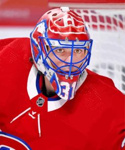 Carey Price Hockey Player paint by numbers