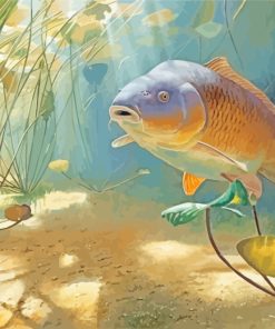 Carp Fish Underwater paint by numbers