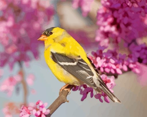 Cherry Blossoms American Goldfinch paint by numbers