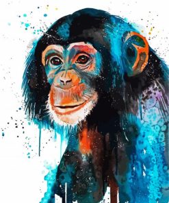 Chimp Animal Art paint by numbers