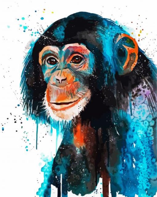 Chimp Animal Art paint by numbers