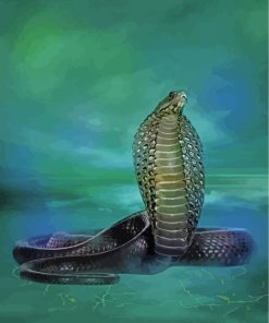 Cobra Snake Art paint by numbers