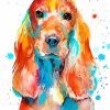 Colorful Cocker Dog paint by numbers