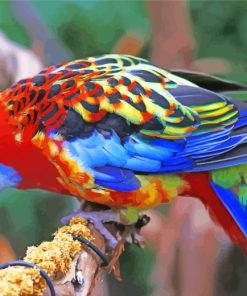 Adorable Eastern Rosella Bird paint by numbers