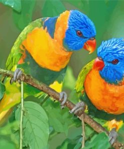 Beautiful Lorikeet Birds paint by numbers