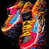 Colorful Nike Shoes paint by numbers