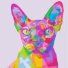 Colorful Sphynx Cat paint by numbers