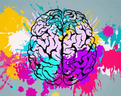 Colors Splash Brain paint by numbers