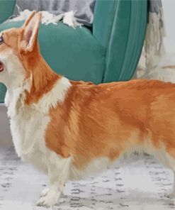 Aesthetic Corgi Dog paint by numbers