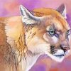Cougar Big Cat Art paint by numbers
