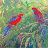 Crimson Rosella On Branch paint by numbers