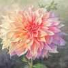 Art Flower Dahlia paint by numbers