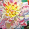 Dahlia Flower Art paint by numbers