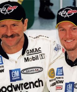 Dale Earnhardt And Hie Son paint by numbers