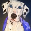 Dalmatian Dog Head paint by numbers