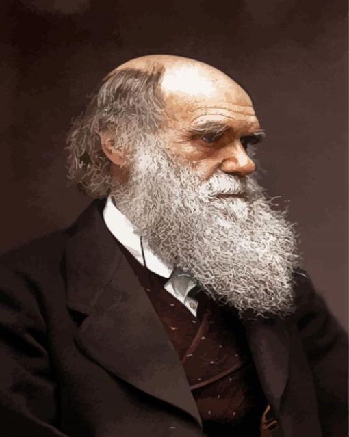 Portrait Of Charles Darwin paint by numbers