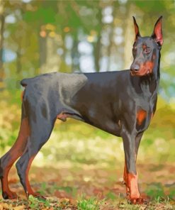 Doberman Dog In Forest paint by numbers