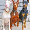 Aesthetics Doberman Dogs paint by numbers