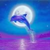 Dolphin Moonlight paint by numbers