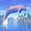 Dolphins In Tropics paint by numbers