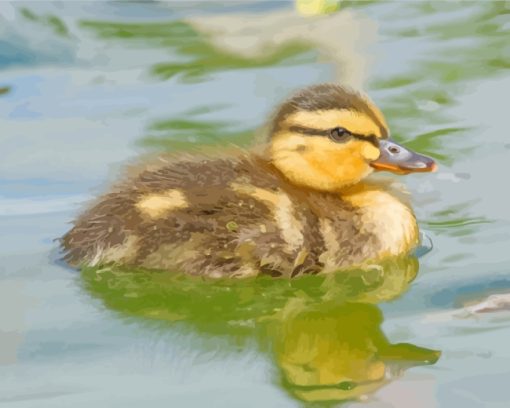 Duckling Bird In Water paint by numbers