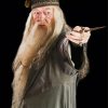 Professor Albus Dumbledore paint by numbers