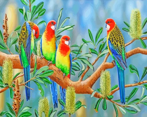 Aesthetics Eastern Rosella Birds paint by numbers