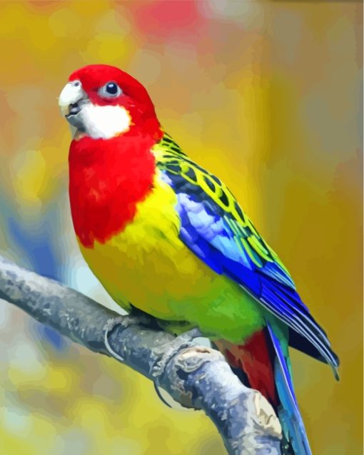 Colorful Eastern Rosella paint by numbers