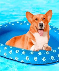 Floating Dog In Pool paint by numbers