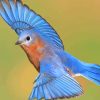 Flying Bluebird paint by numbers