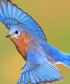 Flying Bluebird paint by numbers