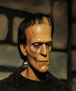 Frankenstein Movie Character paint by numbers