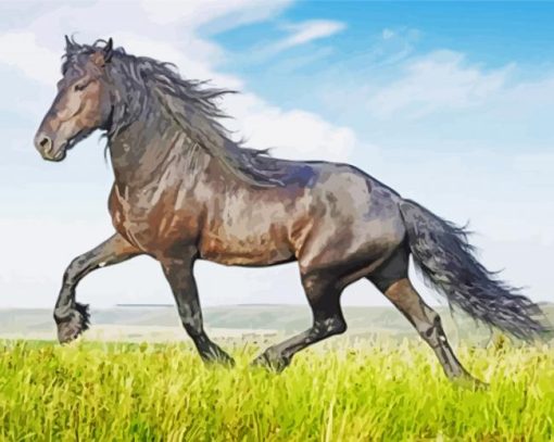 Aesthetic Friesian Horse paint by numbers