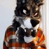 Fursuit With Clothes paint by numbers